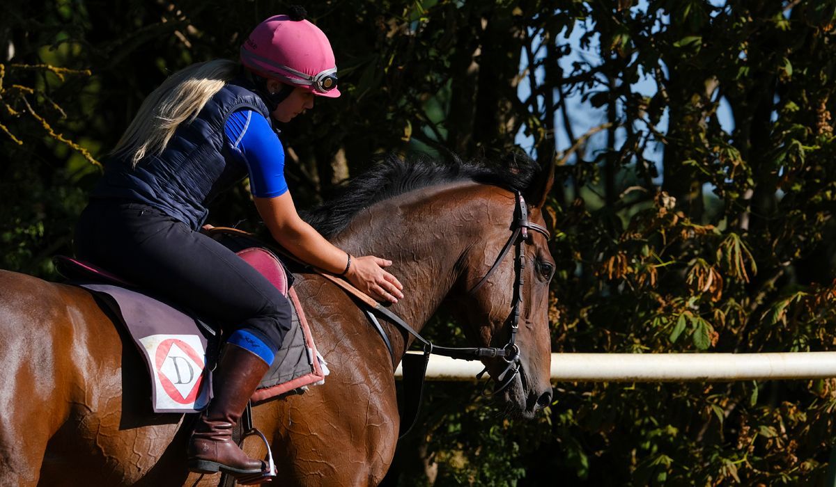 Woman in pink helmet petting a brown horse outdoors; rider in saddle.