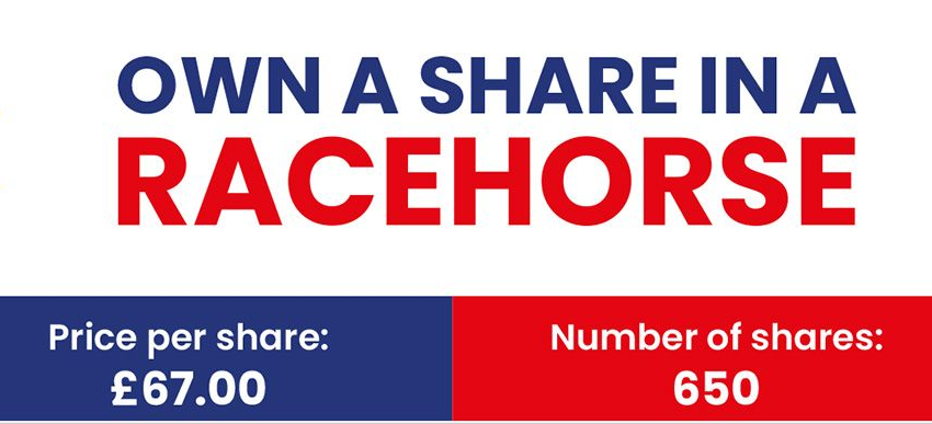 Advertisement: Own a share in a racehorse. Price per share: £67.00. Number of shares: 650.