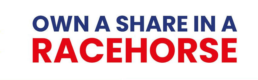Ad for owning a share in a racehorse.