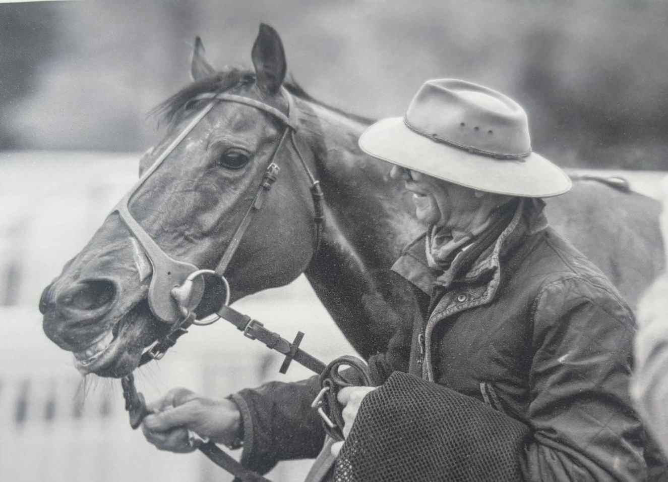 Horses racing on a dirt track at night, jockeys aboard, near a white fence.