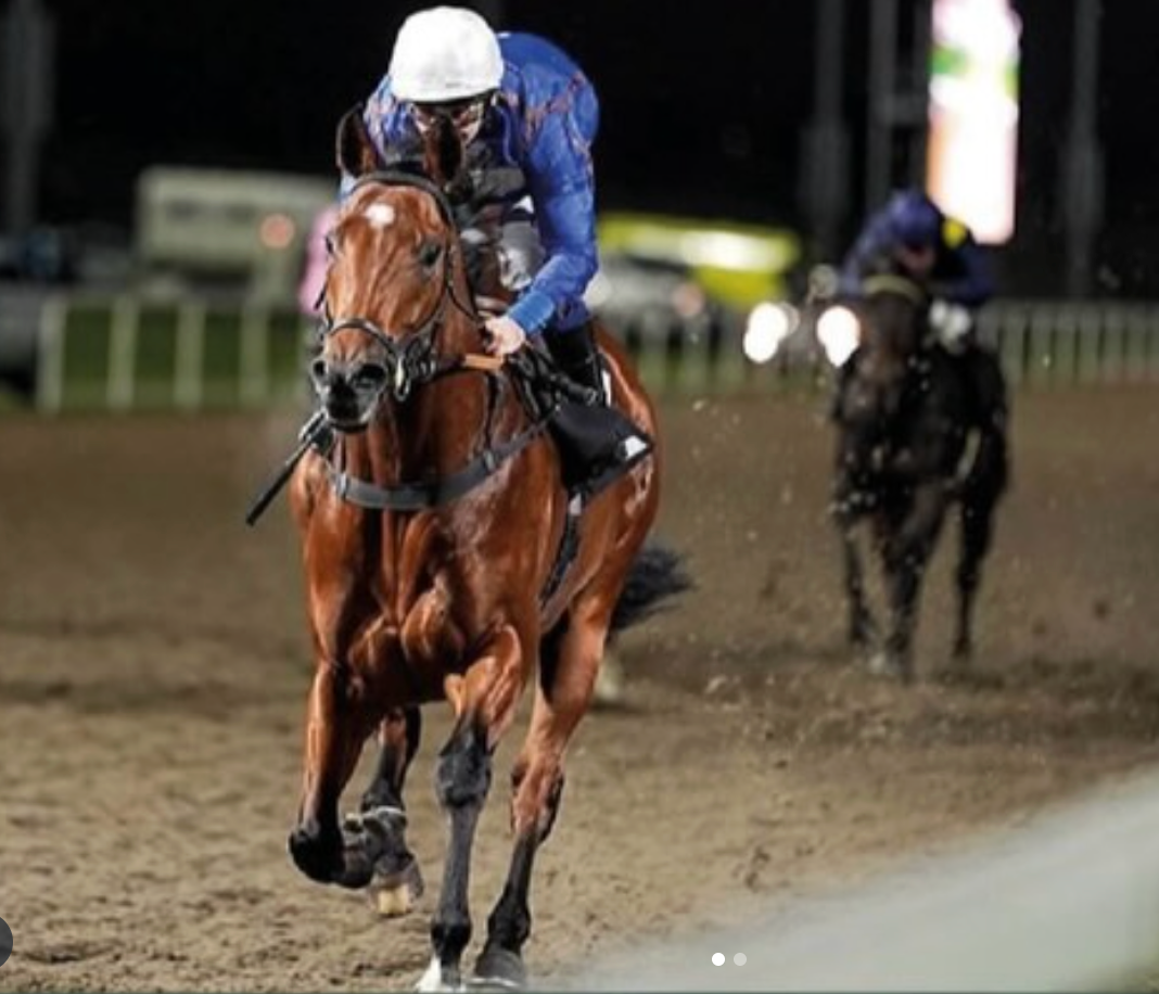 Racehorse with jockey in blue and white silks racing on a dirt track, with another horse behind.