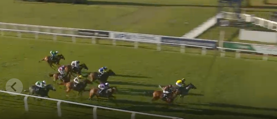 Horses racing on a green track, under a slightly dark sky.