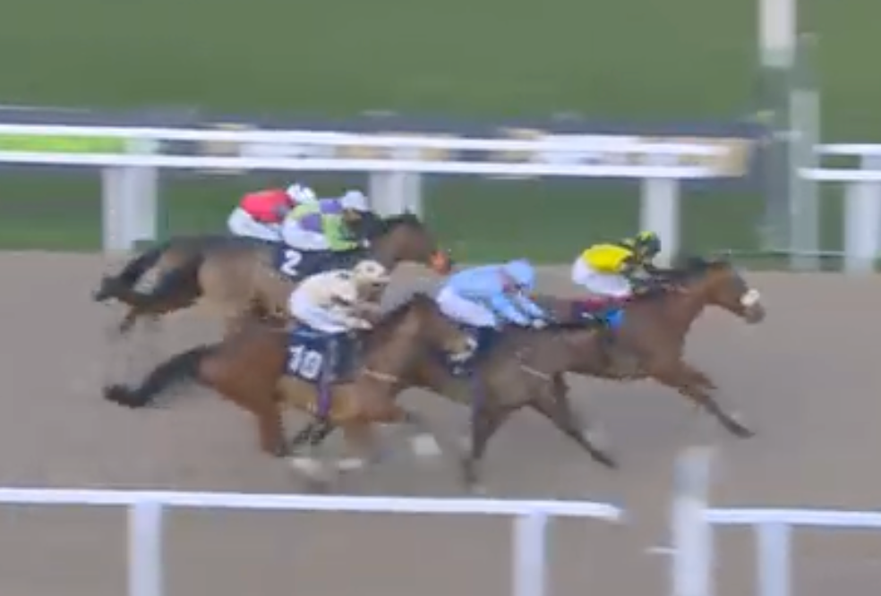 Horse race: grey horse in the lead, green grass track, other horses behind, spectators in foreground.