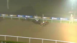Horse race: grey horse in the lead, green grass track, other horses behind, spectators in foreground.