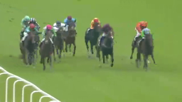 Horses racing on a green track; jockeys in colorful silks are nearing the finish line.