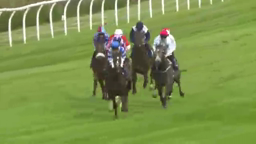 Horses with jockeys race on a green track towards the finish line. A white fence lines the left.