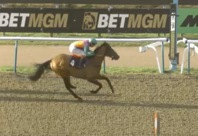 Horse racing, brown horse with jockey in colorful silks crossing finish line under BetMGM banner.
