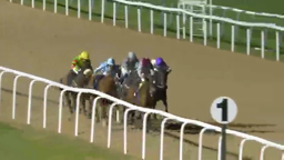 Horses racing on a track, approaching a numbered marker; jockeys wear brightly colored silks.