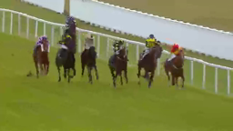 Horses racing on a green track, jockeys riding, white fence on the side.