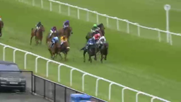 Horses racing on a green track, jockey in blue leading, others close behind, overcast day, near white fence.