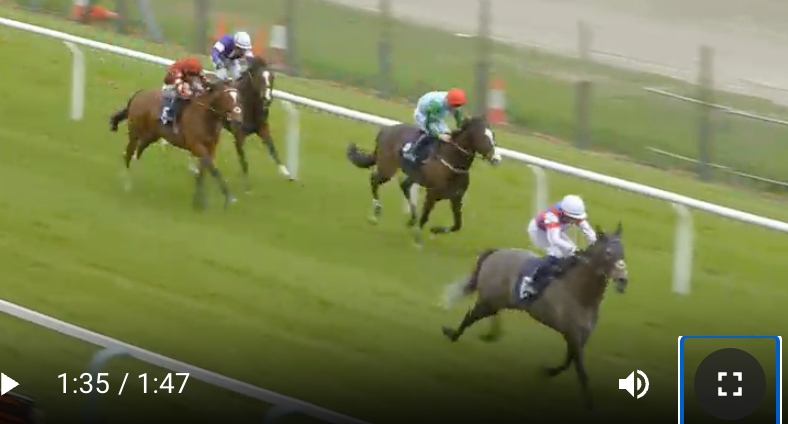Horses racing on a green track, jockeys in colorful silks.