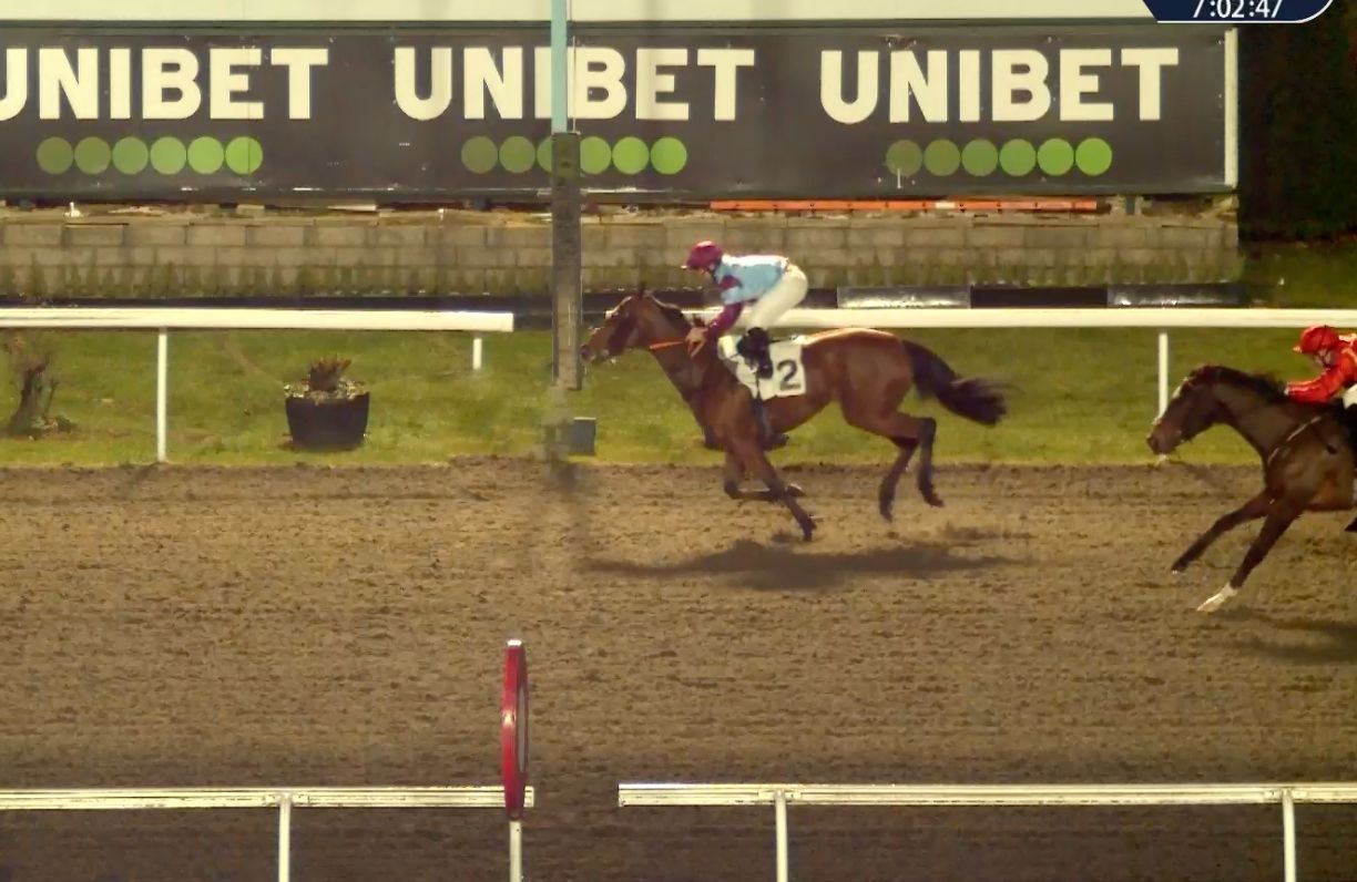 Horse race, horse in front, jockey, Unibet sign in background. Dirt track, night.