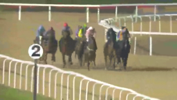 Horses racing on a track. The number 2 is visible.