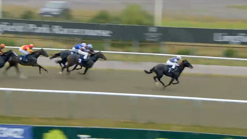Horses racing on a track; the lead horse, dark with a white-clad jockey, is ahead of other racers.