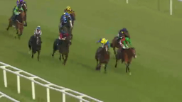 Horses racing on a green track. Multiple jockeys in colorful uniforms. Fences line the edge.
