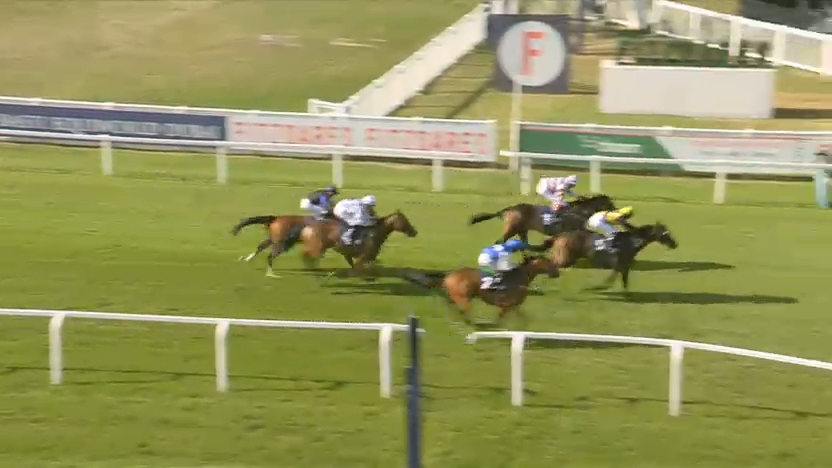Horses racing on a green track, jockeys riding. Fences and spectators in the background.