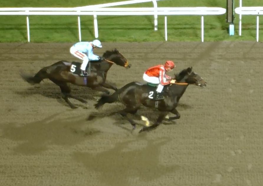 Horse race in progress, two jockeys in action. Number 2 in red leading, number 5 behind.