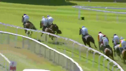 Horses and jockeys racing on a green track, seen from a side view, with a white fence in the foreground.