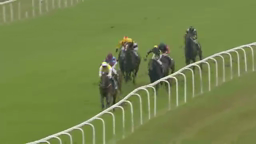 Racehorses competing on a green track, with jockeys wearing colorful silks.