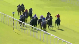 Racehorses competing on a green racetrack at Newmarket; spectators watch in the background.