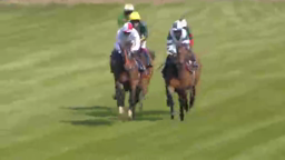 Horses with jockeys race on a green track; frontrunners in white and red, and green and yellow.