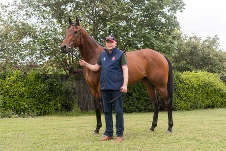 Man stands next to a brown horse on a grassy lawn, tree in the background.