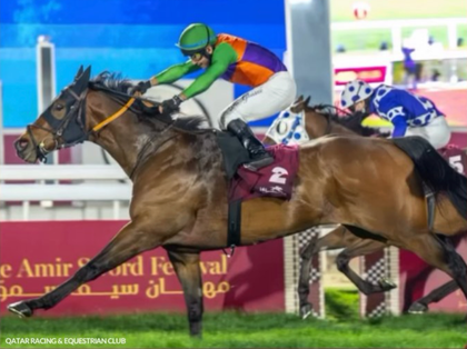 Bay horse wearing a Union Jack blanket with race sponsor logos on grass.