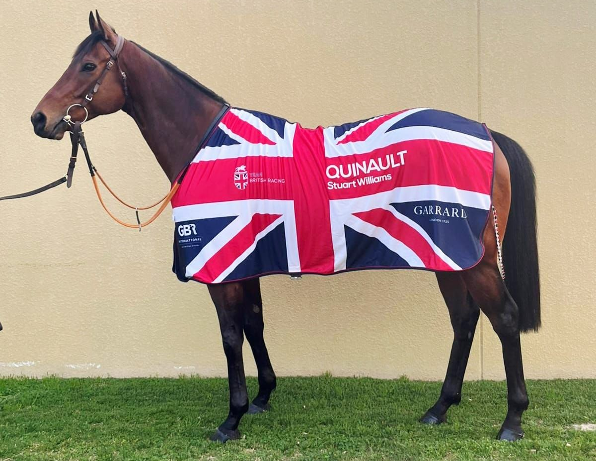Bay horse wearing a Union Jack blanket with race sponsor logos on grass.