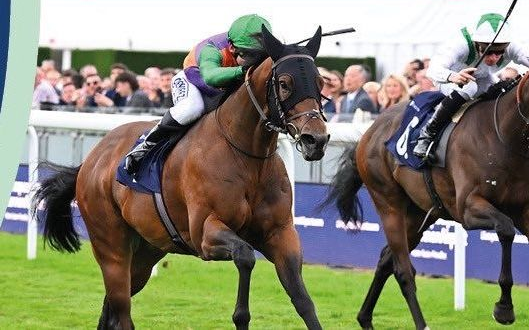 Horse race in progress; jockeys in colorful silks lean forward on their horses on a green track.