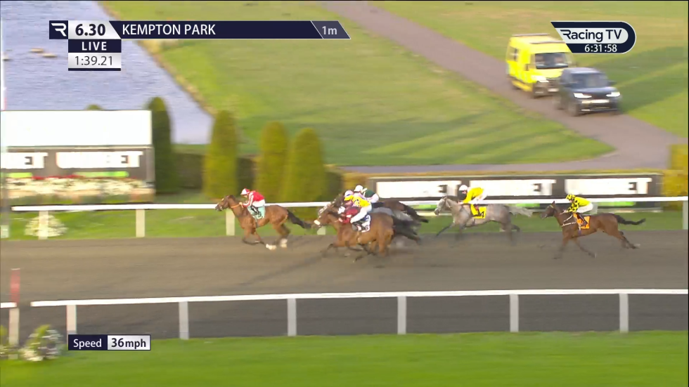 Horses racing at Kempton Park, England. Several horses and jockeys compete on a track, green background.