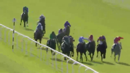 Horses racing on a green track, jockeys in various colored silks, approaching a white striped marker.
