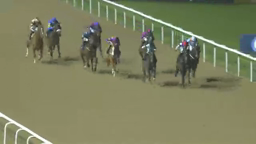 Horses racing on a track at night. Jockeys in colorful silks ride towards the finish line.