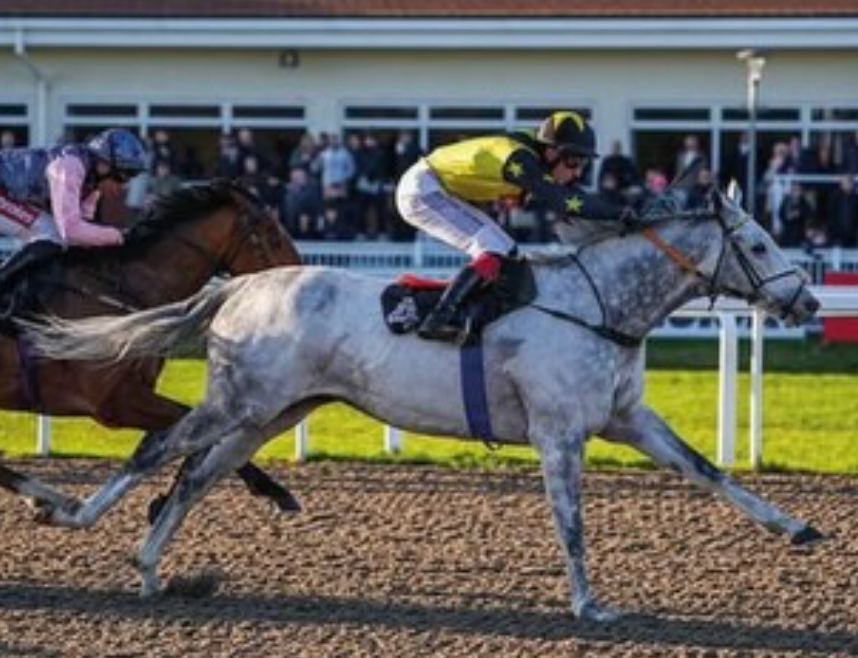 Horse race: Gray horse, jockey in yellow, racing on a dirt track. Crowd in the background.