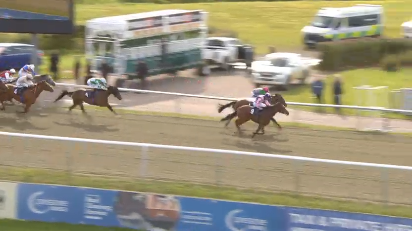 Horse race in progress; brown horses running on a dirt track, with a lead horse near the finish line.