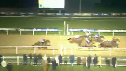 Horse race at night, horses galloping on a track, with a crowd of people in the background.