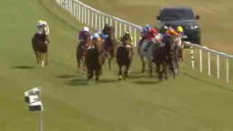 Horses racing on a green track, near white fences, under a bright sky. A black car follows.