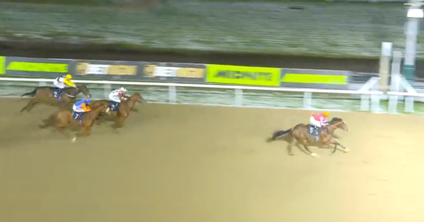 Horses racing on a grassy track with a car and white fence in view.