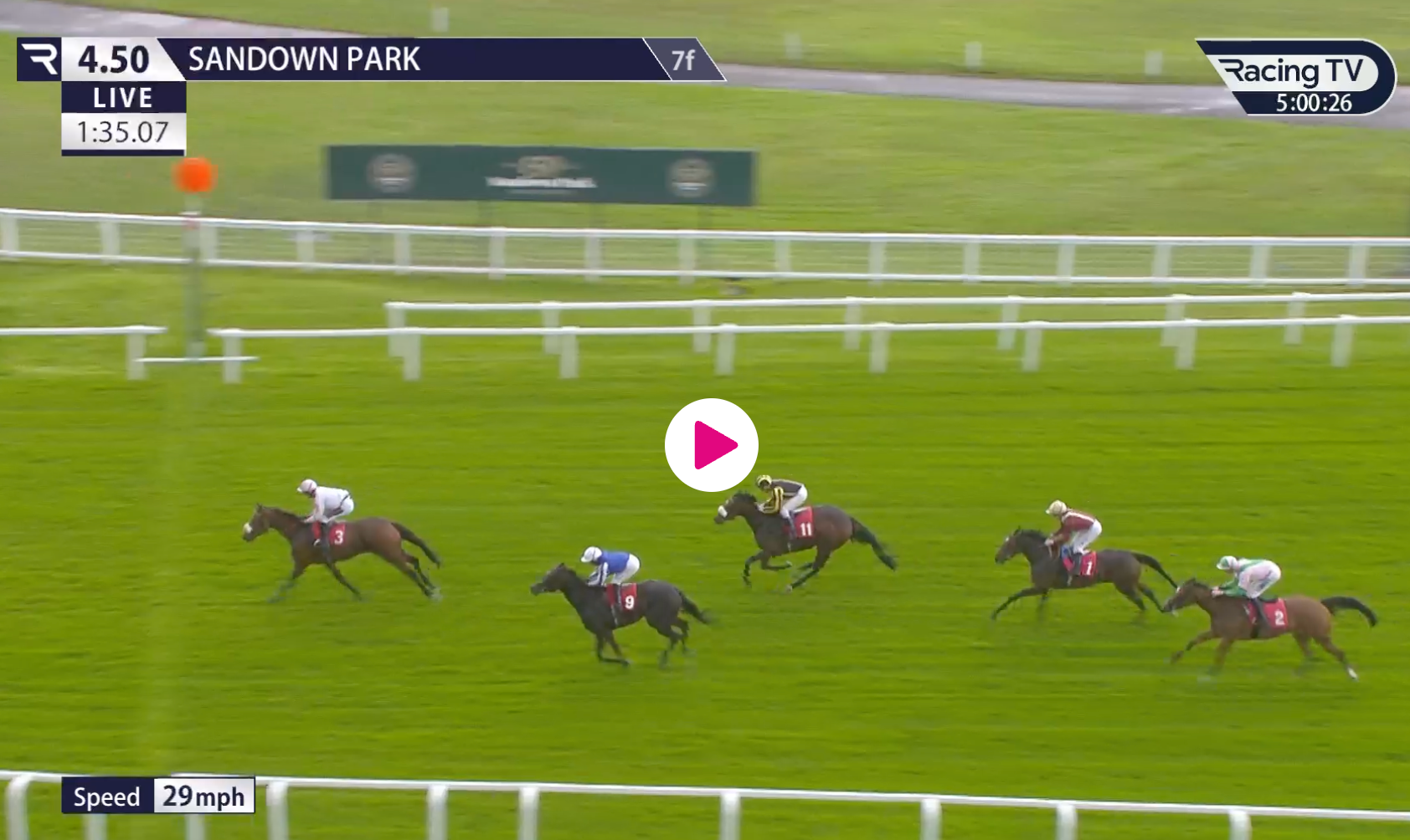 Horse race at Sandown Park, with jockeys racing on a green track near the finish line.