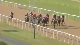 Horses racing on a track, with jockeys riding them. Green grass and white fences surround.