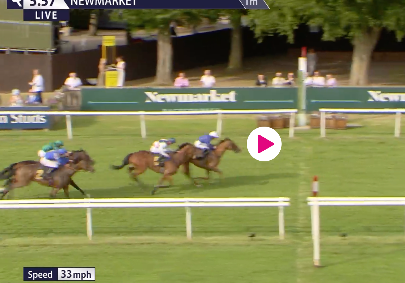 Horse race on a grassy track, with jockeys riding brown horses past white railings.