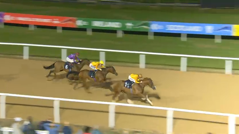 Three racehorses with jockeys compete on a sand track under lights. Yellow, blue, and purple silks.