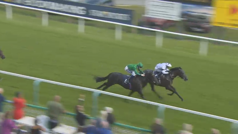 Two racehorses, a green-clad jockey on one, blue-clad on the other, racing on a green track.