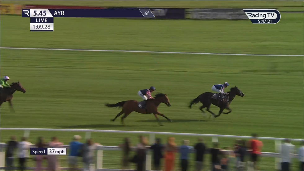 Horses racing on a green track. Two lead, jockey's in colored silks. People watch in the foreground.