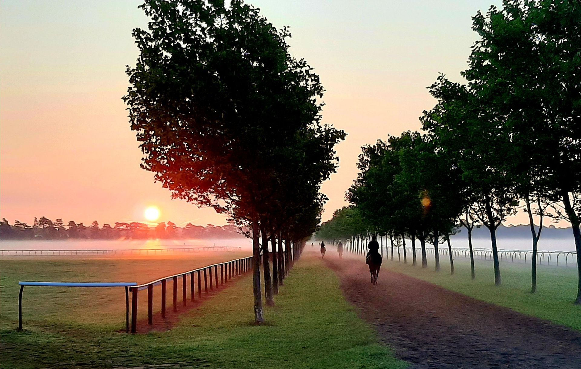 Sunrise over a horse farm. A rider on a horse trots down a tree-lined path.
