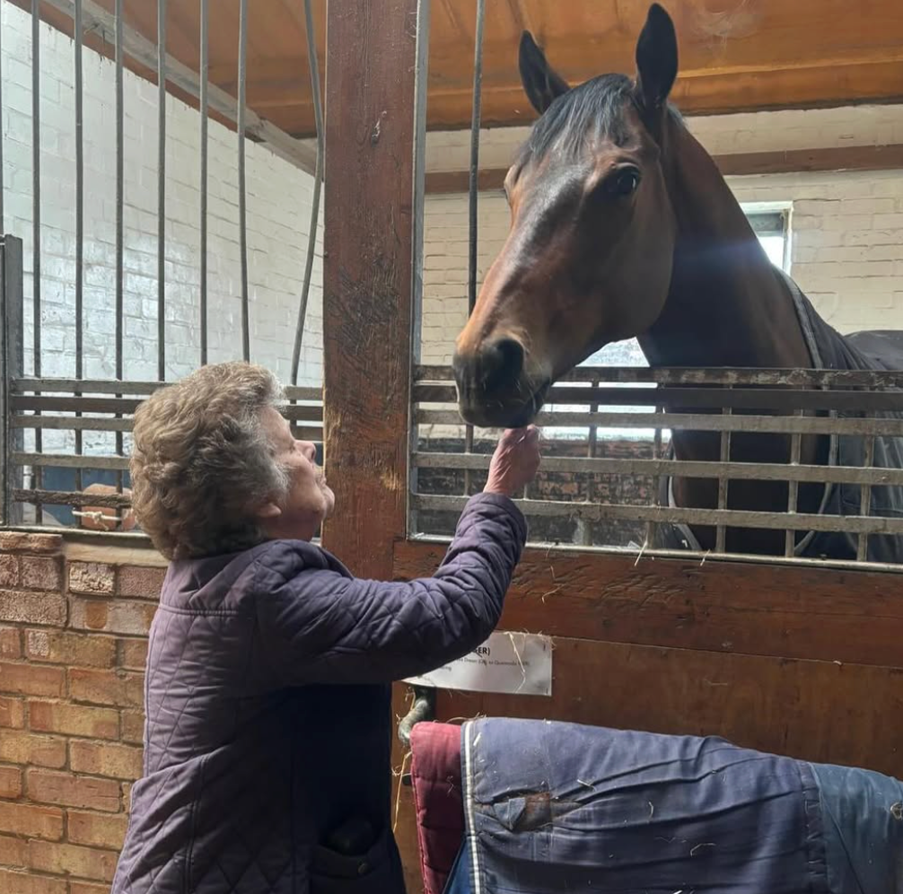 Woman feeding a brown horse in a stable; they are interacting.