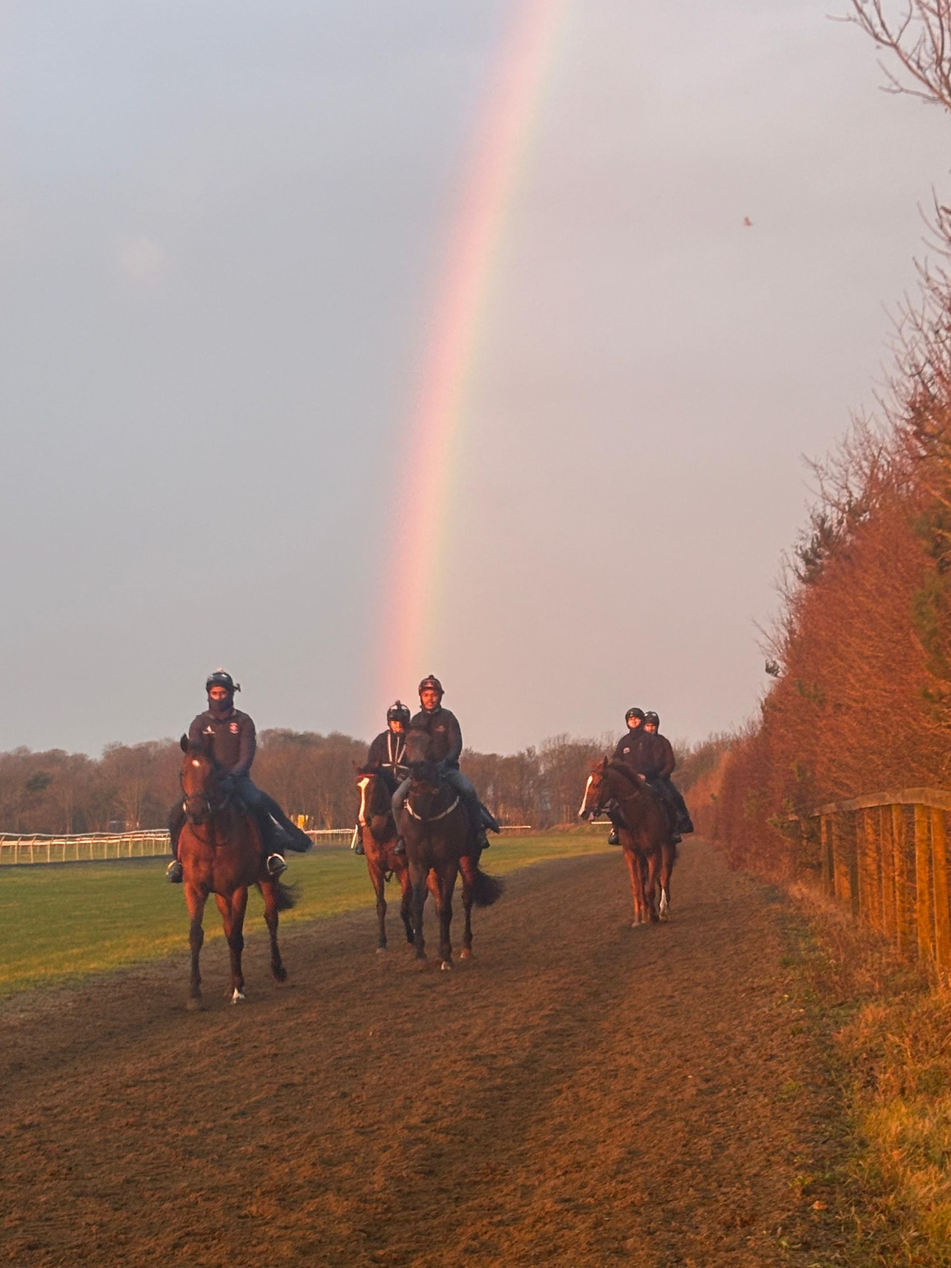 Horses with riders on a dirt track under a rainbow.