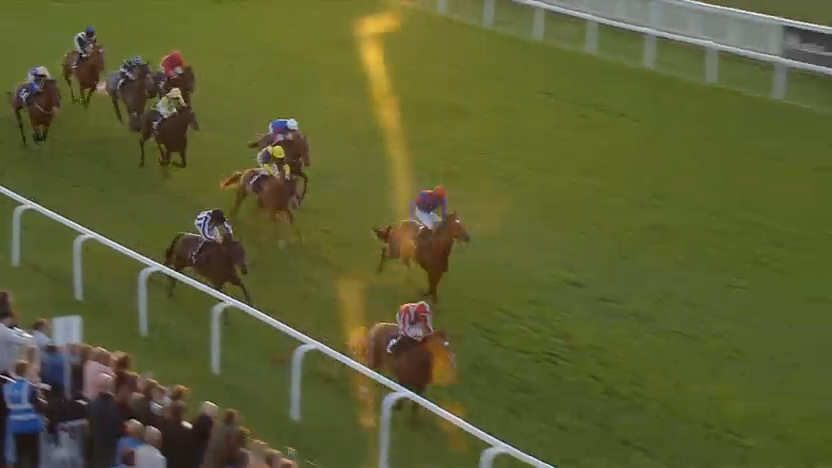 Racehorses running on a green track toward the finish line, with spectators in the background.