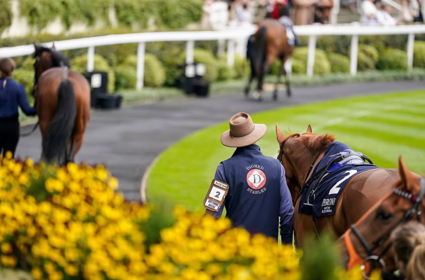 Horses and handlers at a race track. One horse wears a blanket. Yellow flowers in foreground.