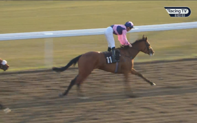 Racehorse with jockey in pink and blue racing on dirt track, number 11 visible.