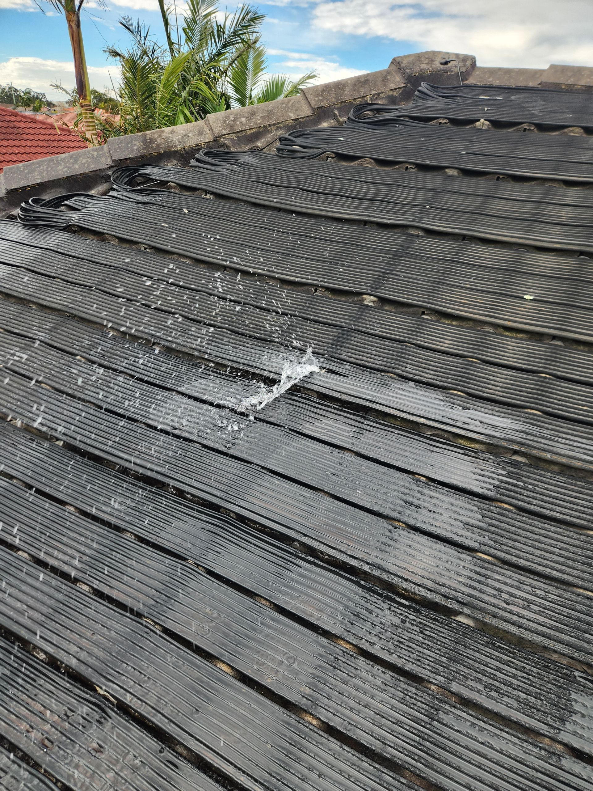 Solar Panels on a Rooftop with a leak  — Solar Services in Erina, NSW